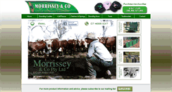 Desktop Screenshot of morrisseyco.com.au
